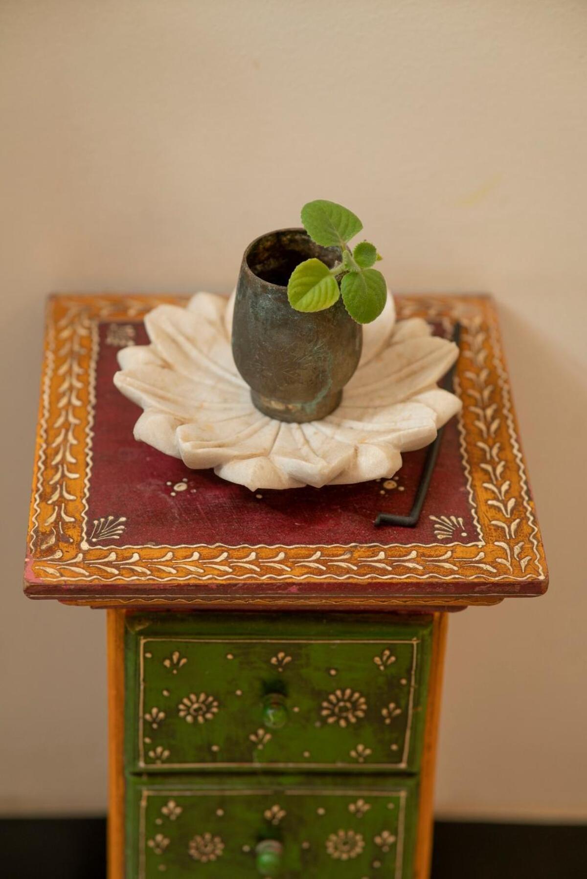 Santosh Villa - The House Of Antiques And Art ウダイプル エクステリア 写真