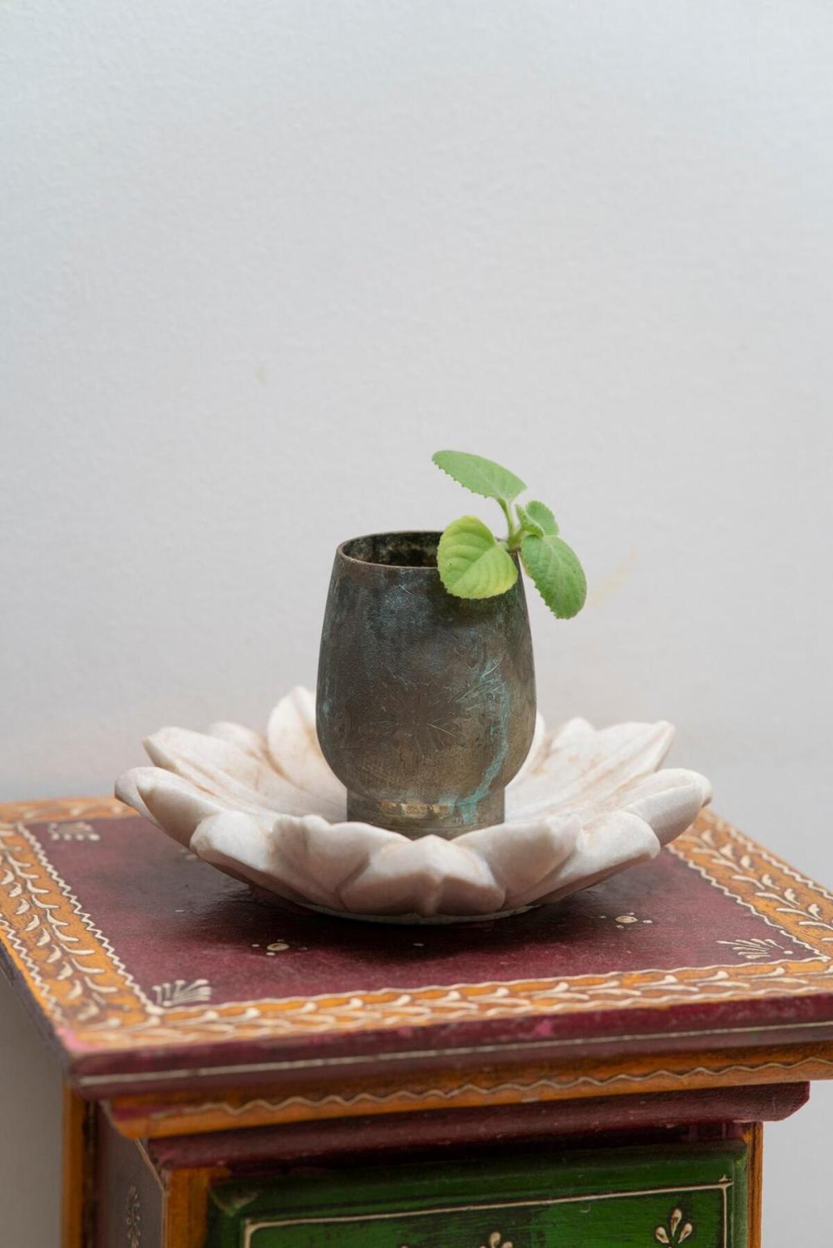 Santosh Villa - The House Of Antiques And Art ウダイプル エクステリア 写真